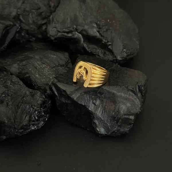 Anillo De Caballero Con Diseño De Caballo