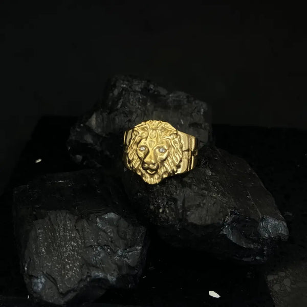 Anillo León