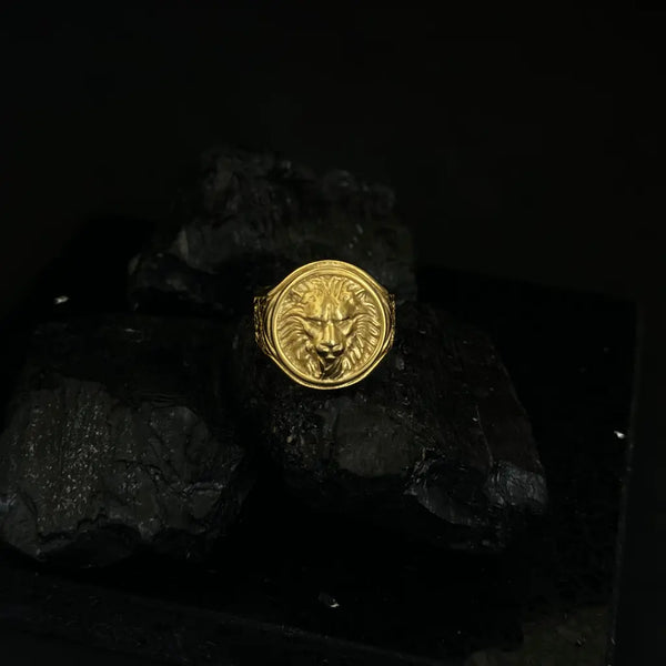 Anillo Leon 3