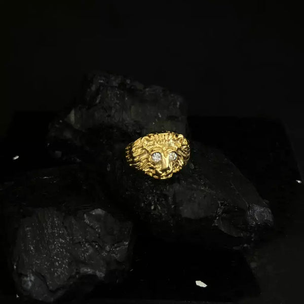 Anillo Leon 2