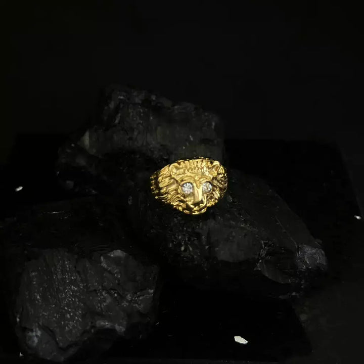Anillo Leon 2